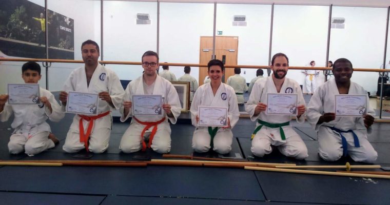NIA Aikido Summer Course 2018 Grading Update