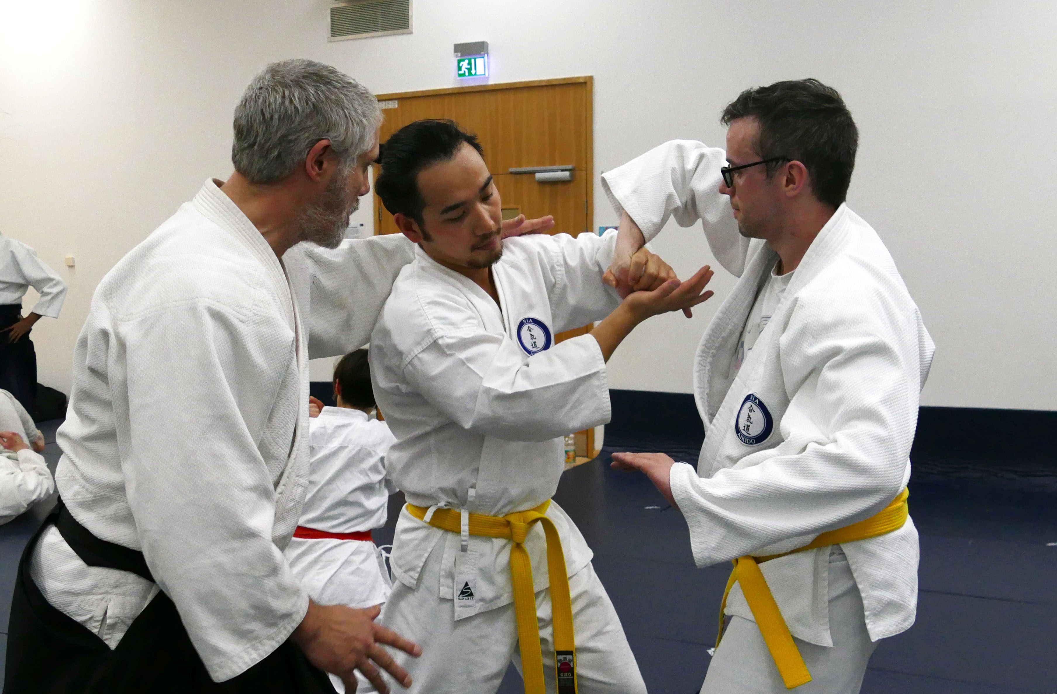 Aikido Class teaching